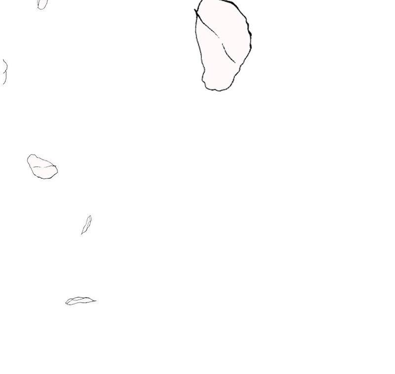 58.jpg