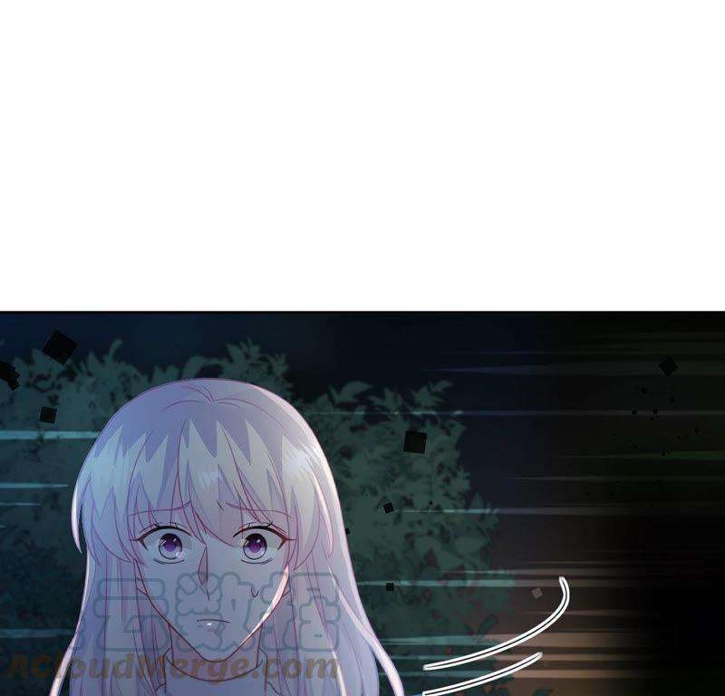 85.jpg