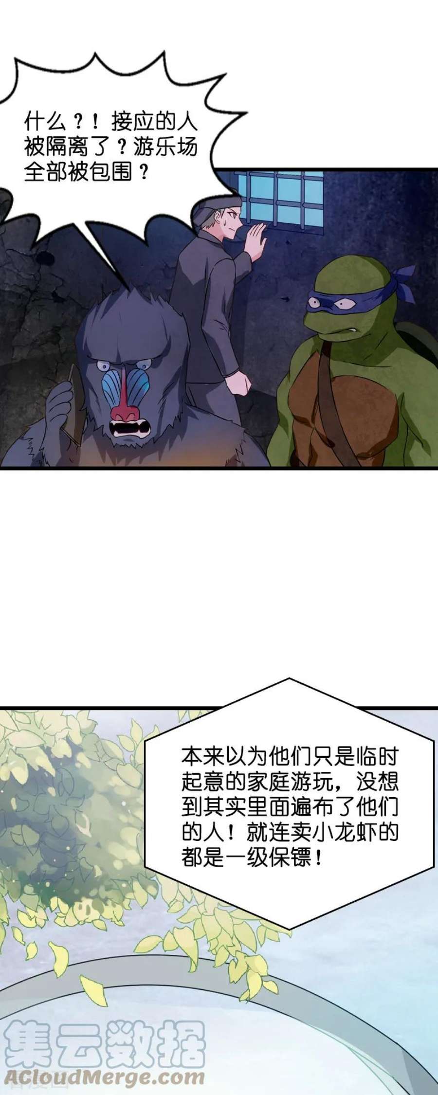 11.jpg