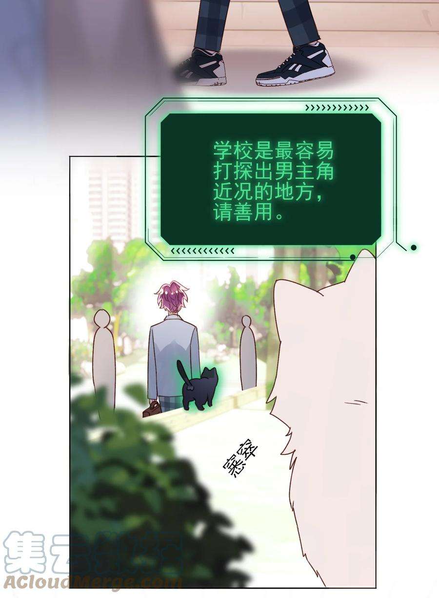 25.jpg