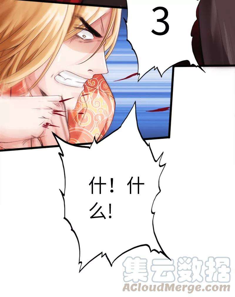 41.jpg