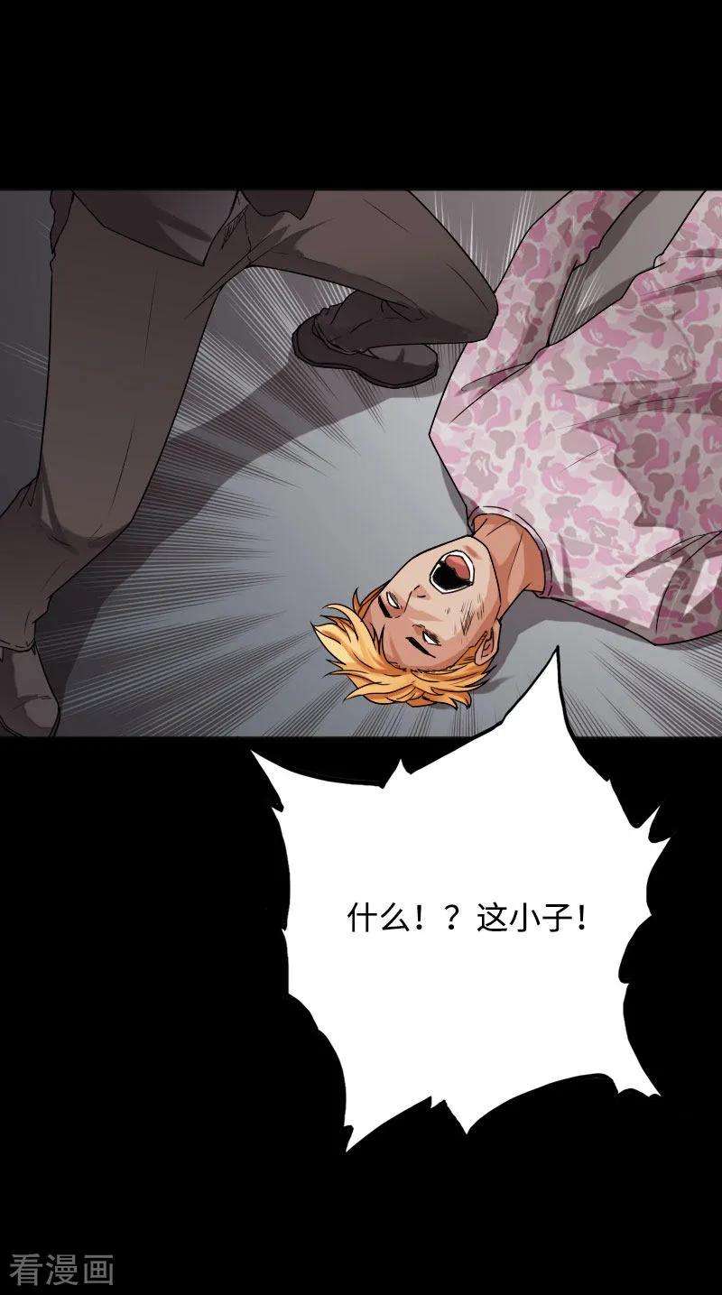 17.jpg