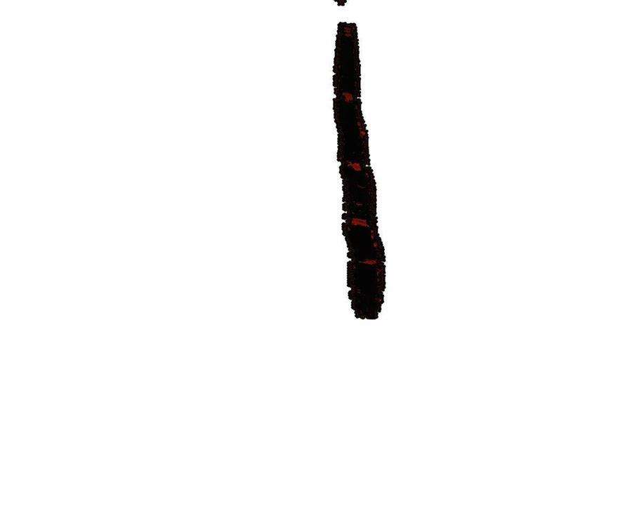 48.jpg