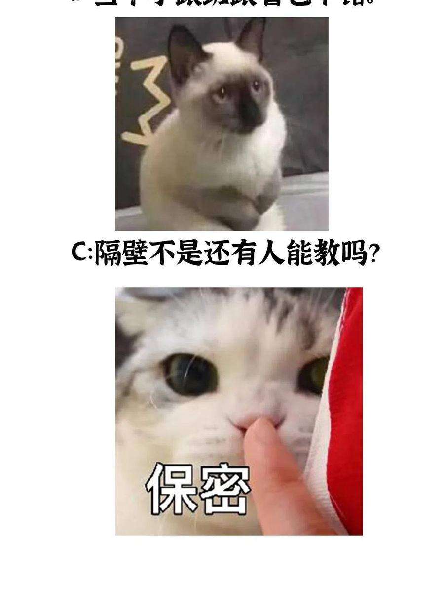 44.jpg