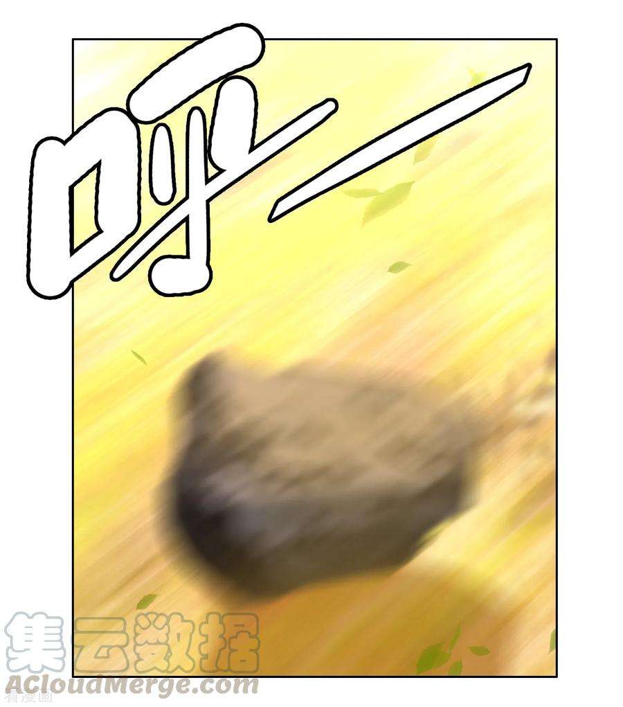 43.jpg