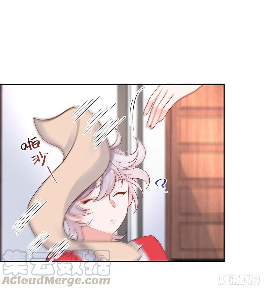 29.jpg