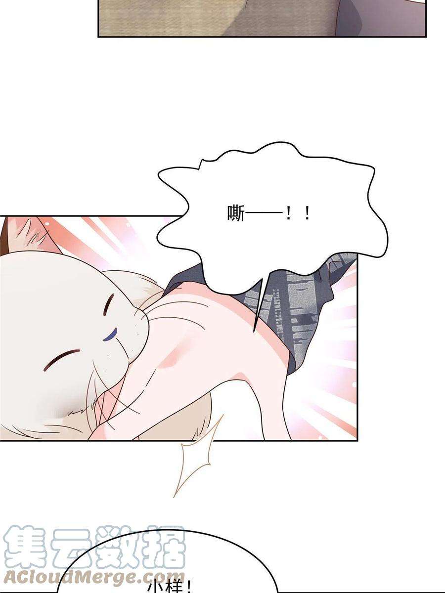37.jpg