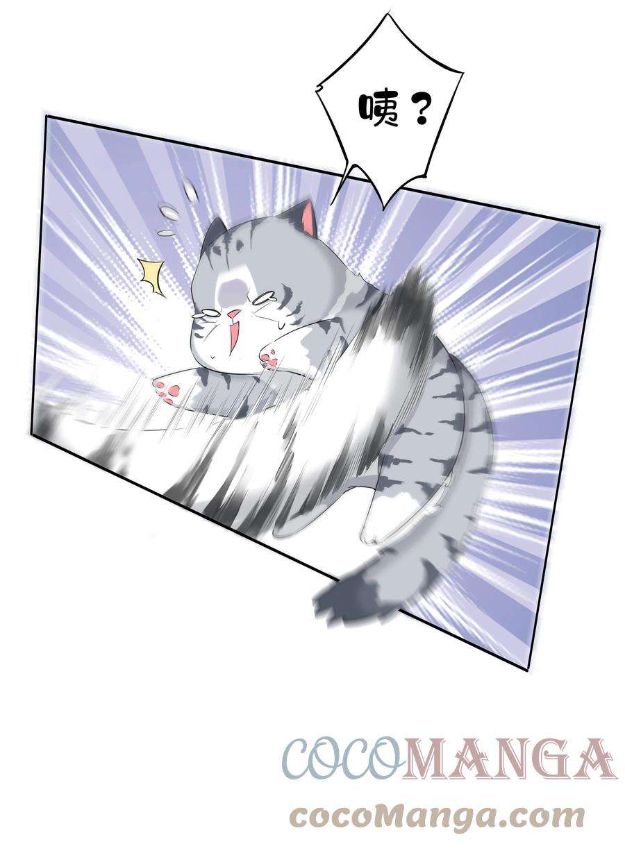 37.jpg