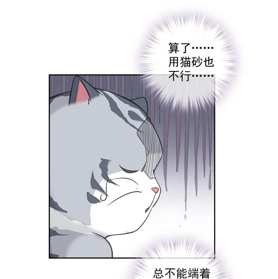63.jpg