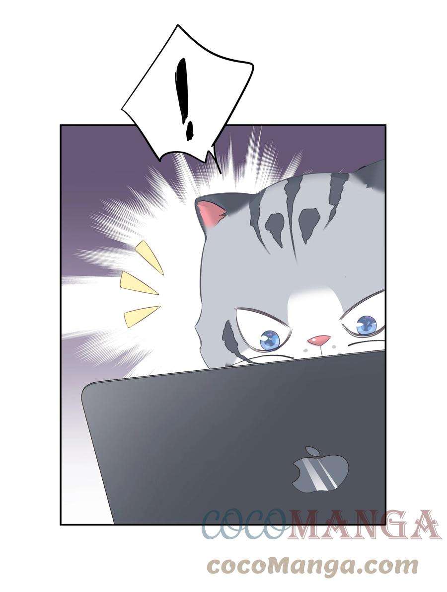 58.jpg