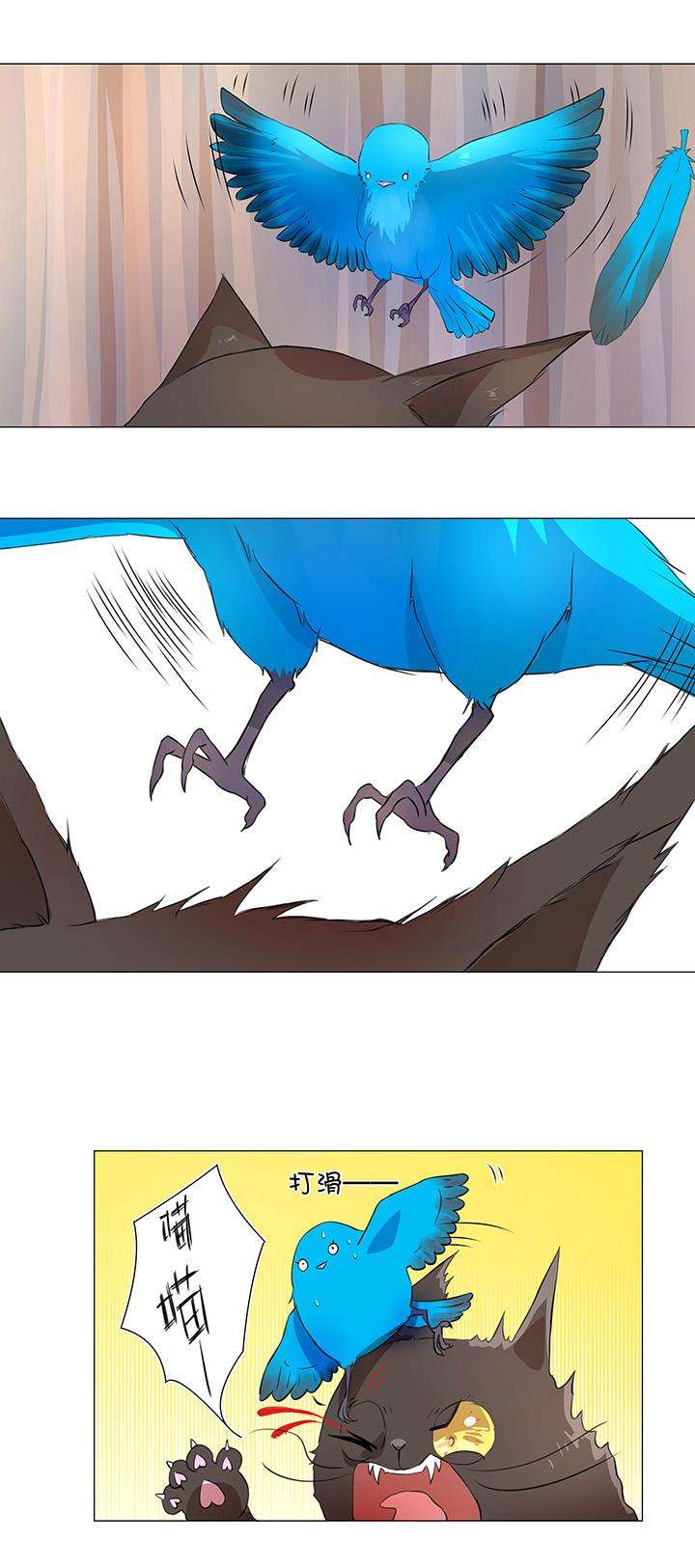 8.jpg