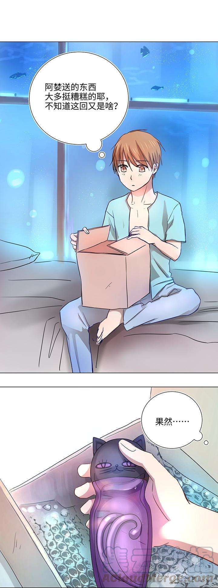 13.jpg