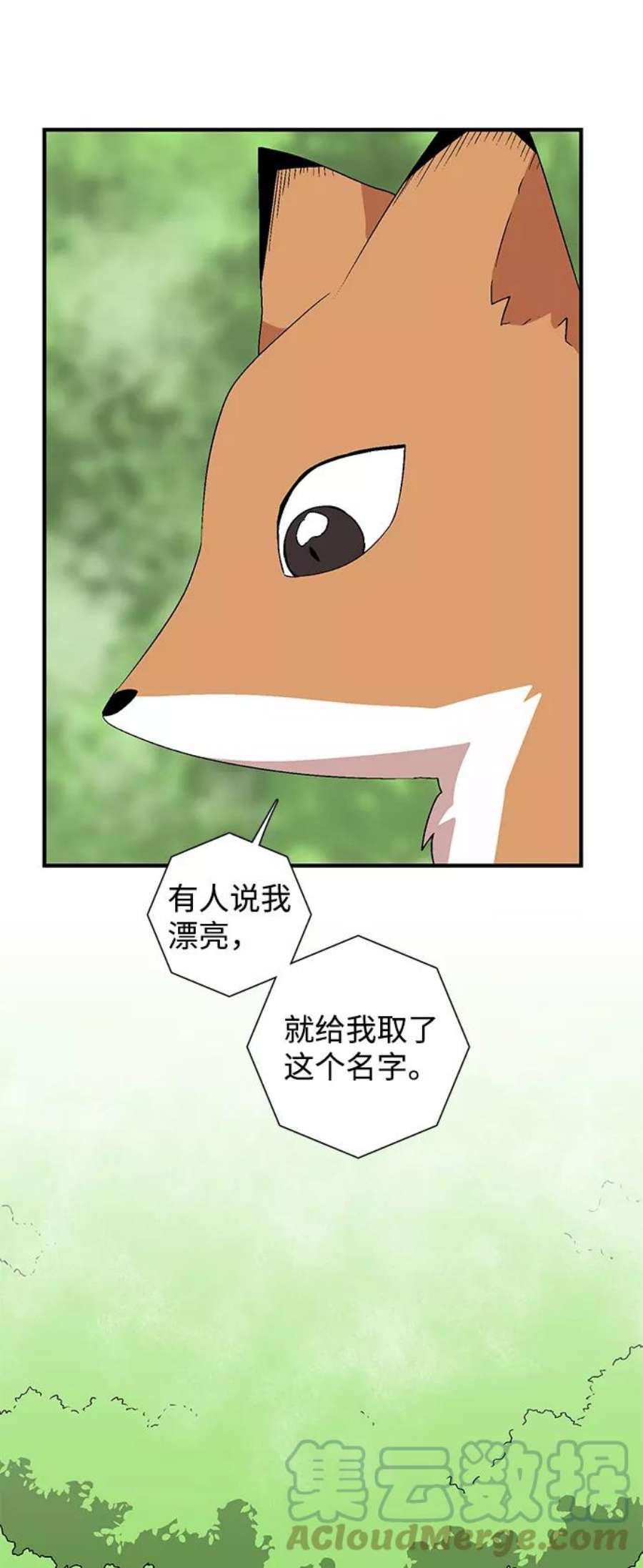 73.jpg