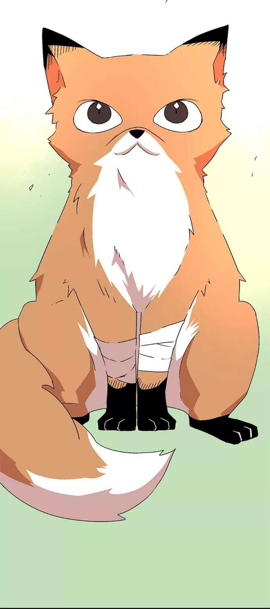 9.jpg