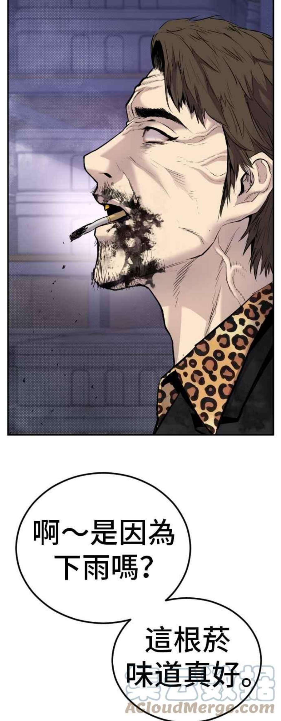 41.jpg