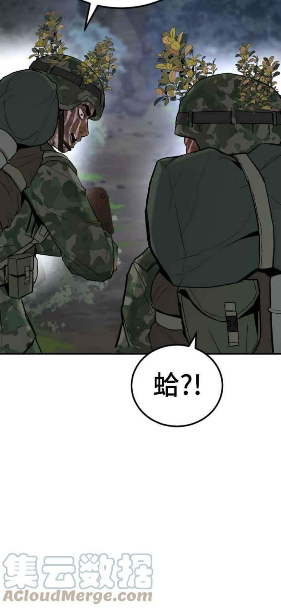117.jpg