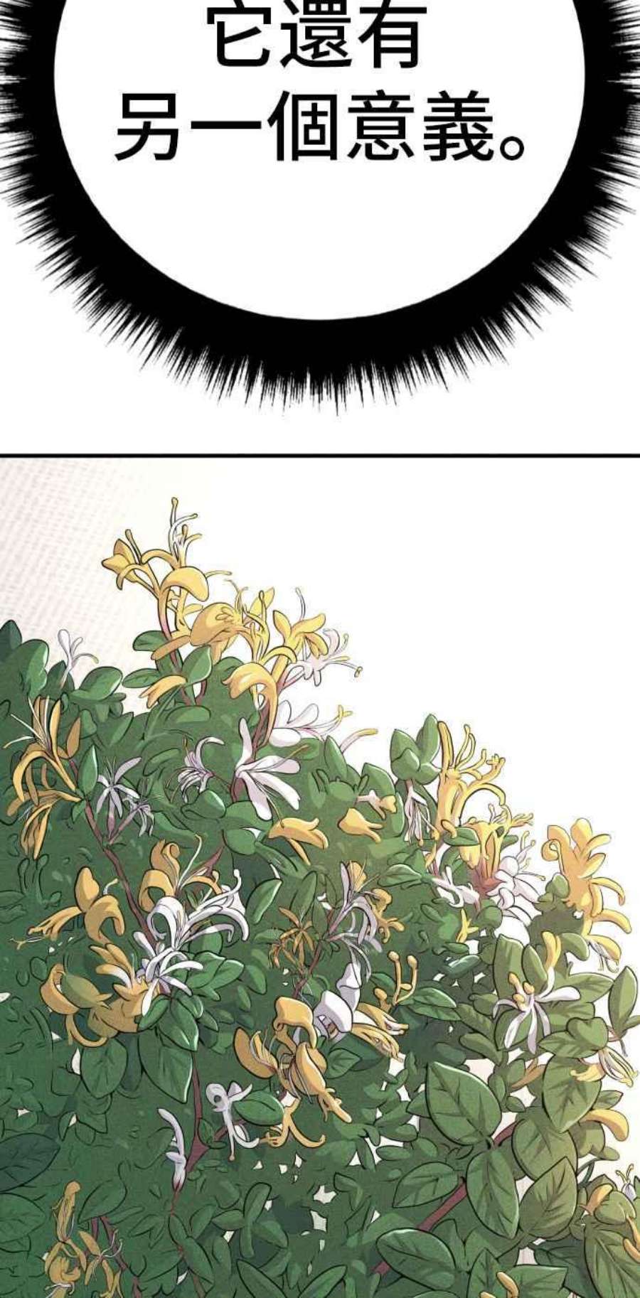 196.jpg