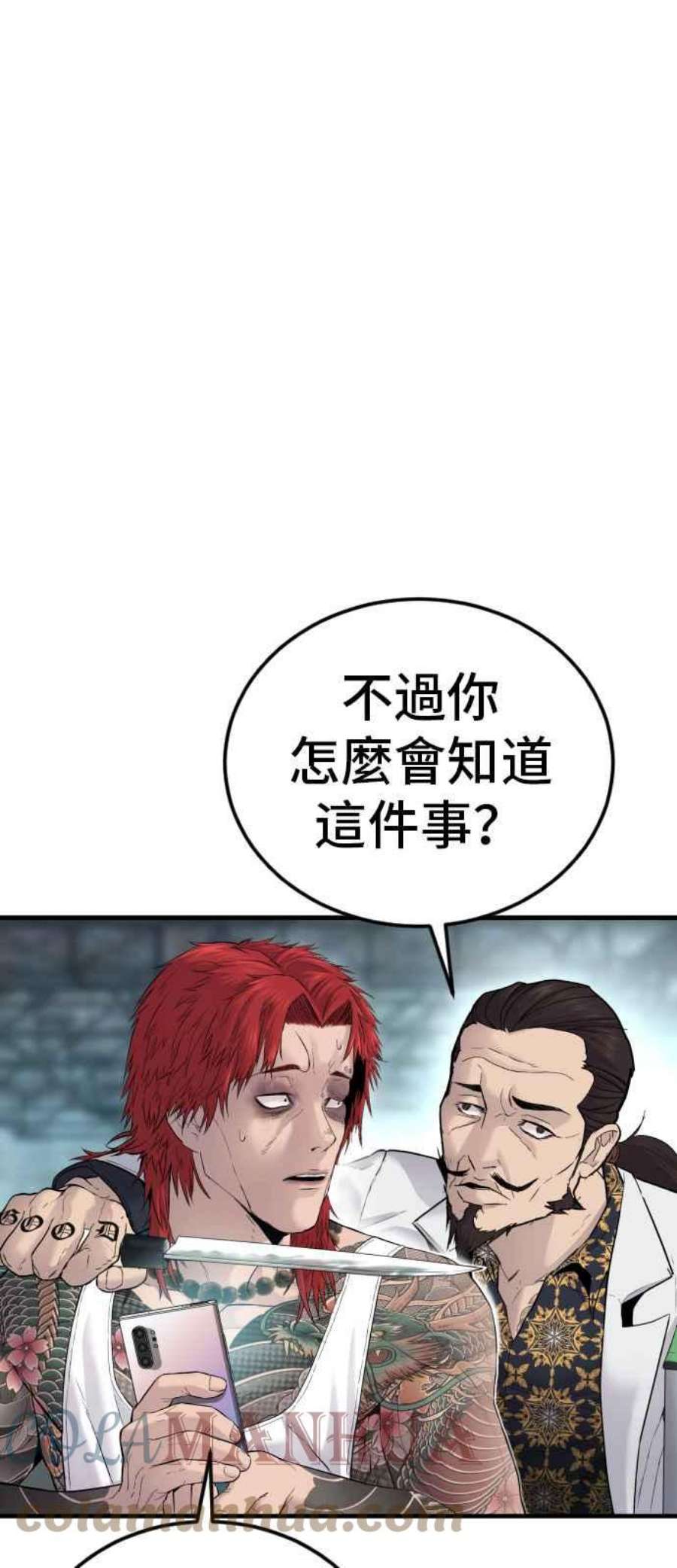 113.jpg