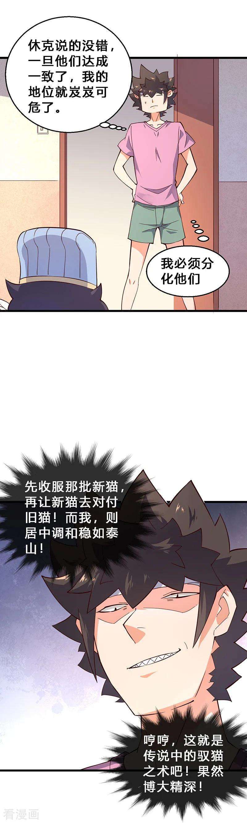 14.jpg