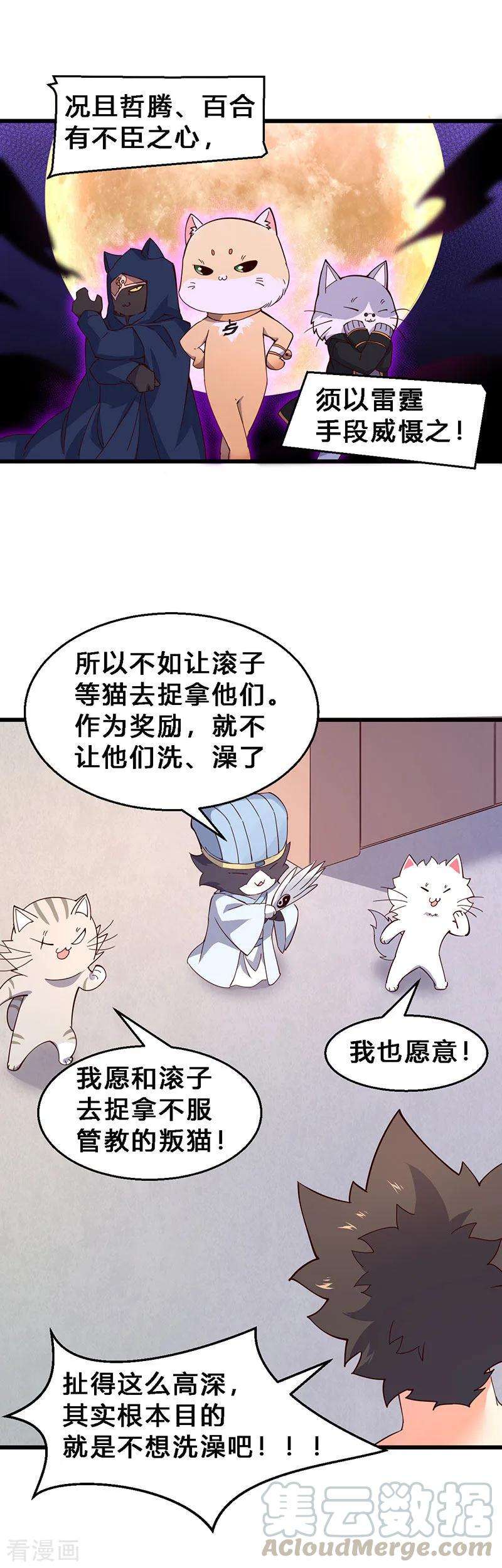 13.jpg