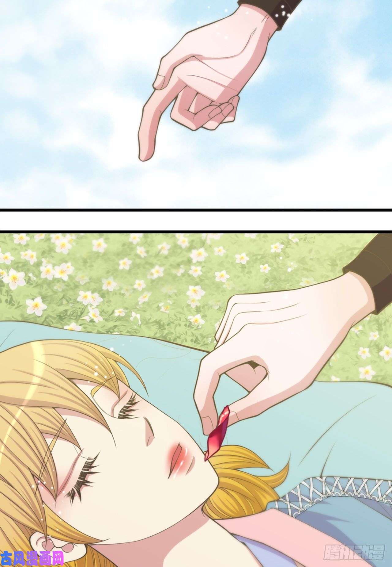 12.jpg