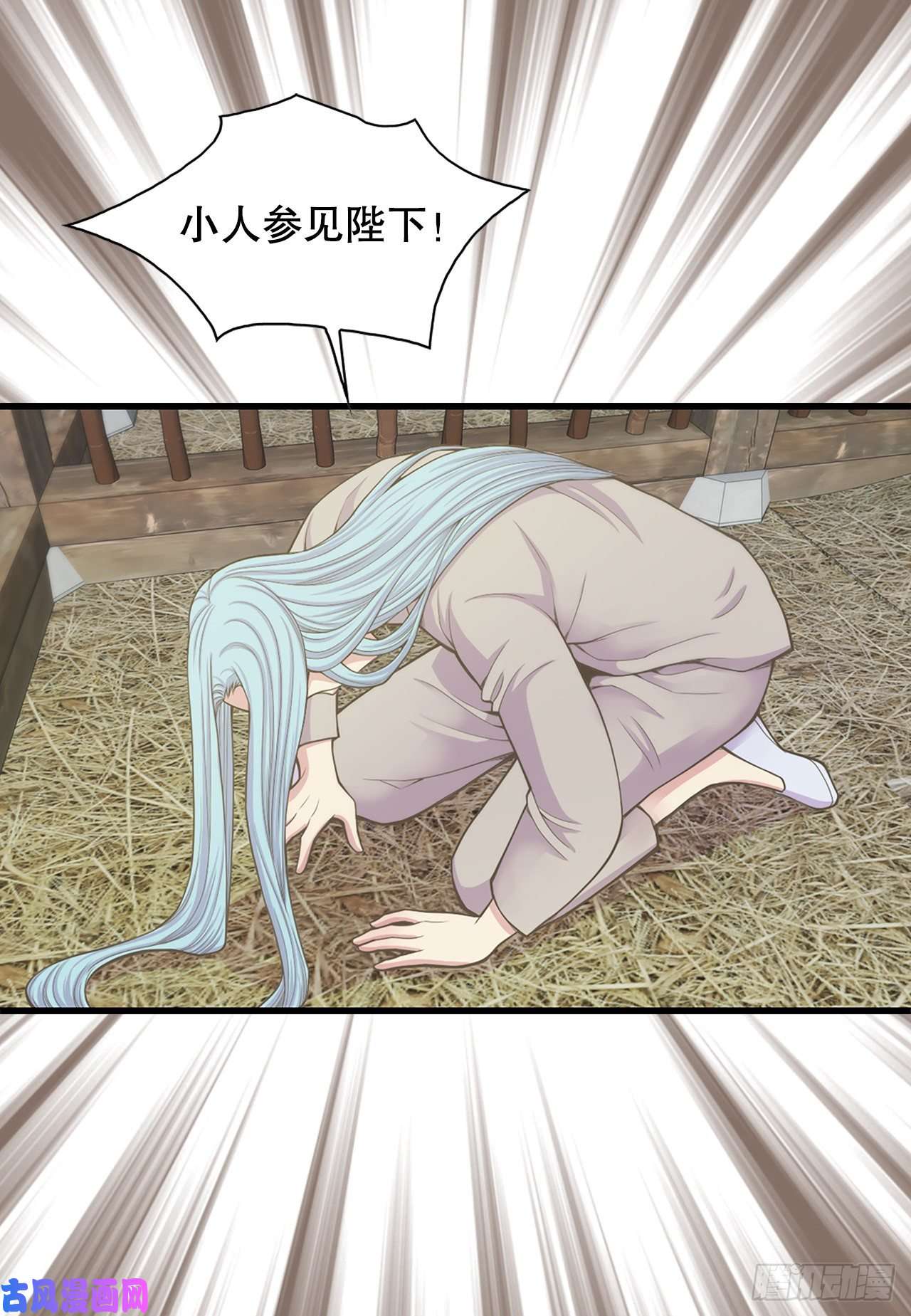 41.jpg