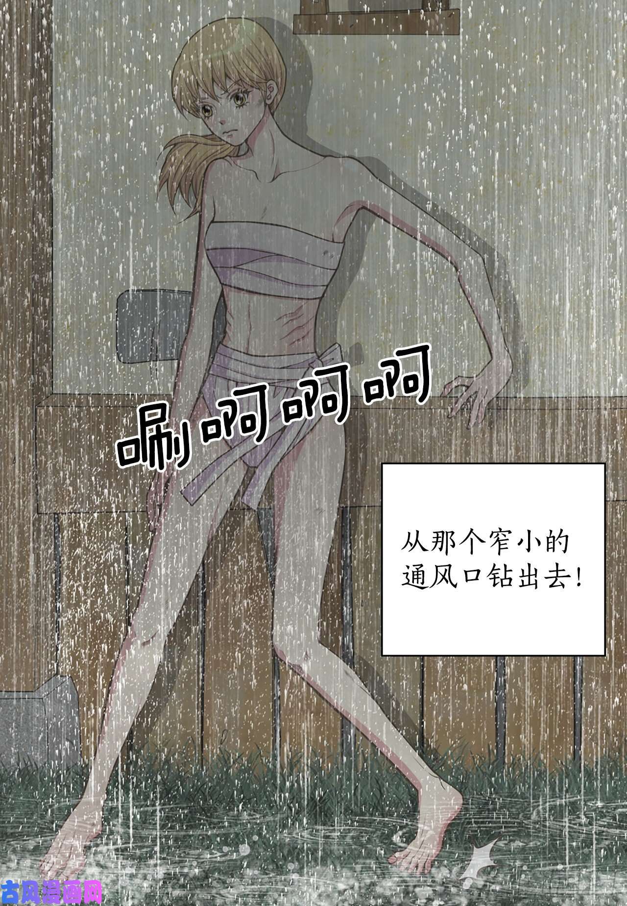 41.jpg