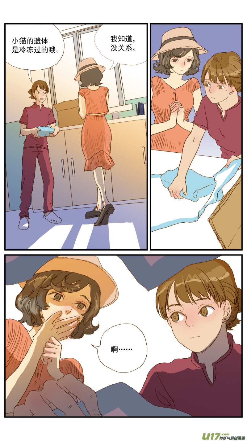 10.jpg