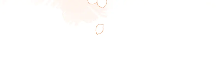 54.jpg
