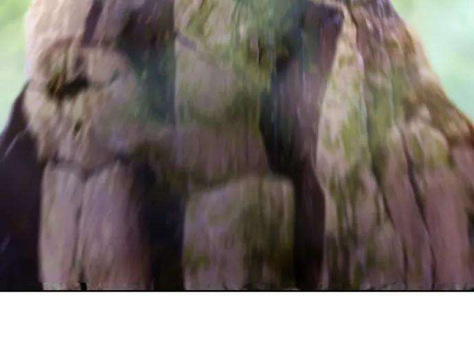 72.jpg
