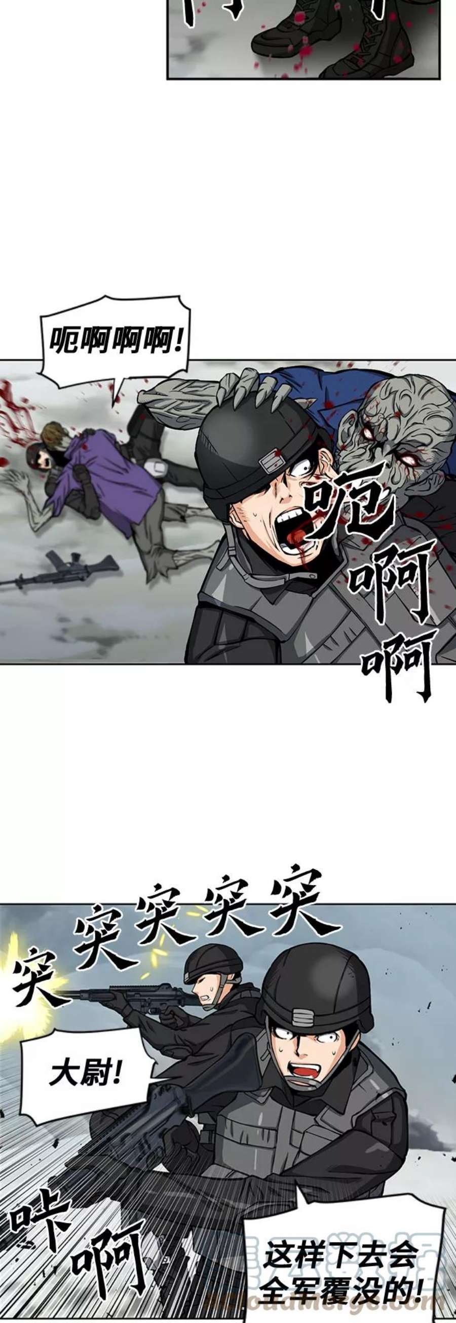 25.jpg