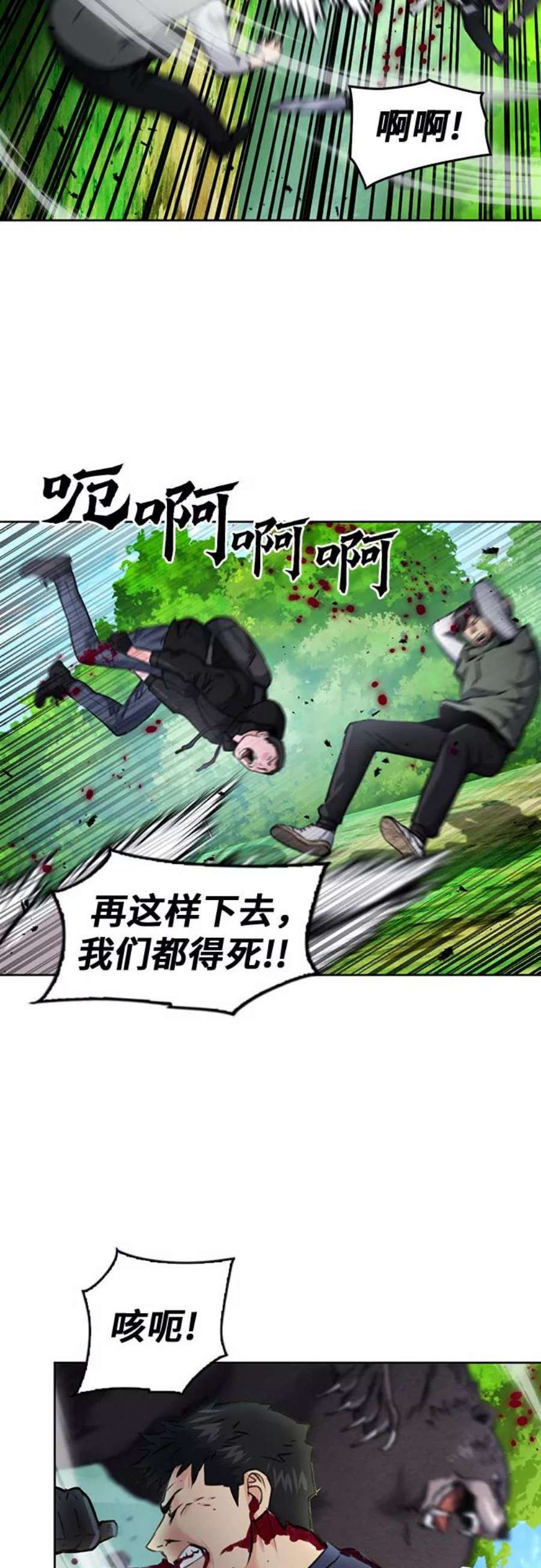 12.jpg