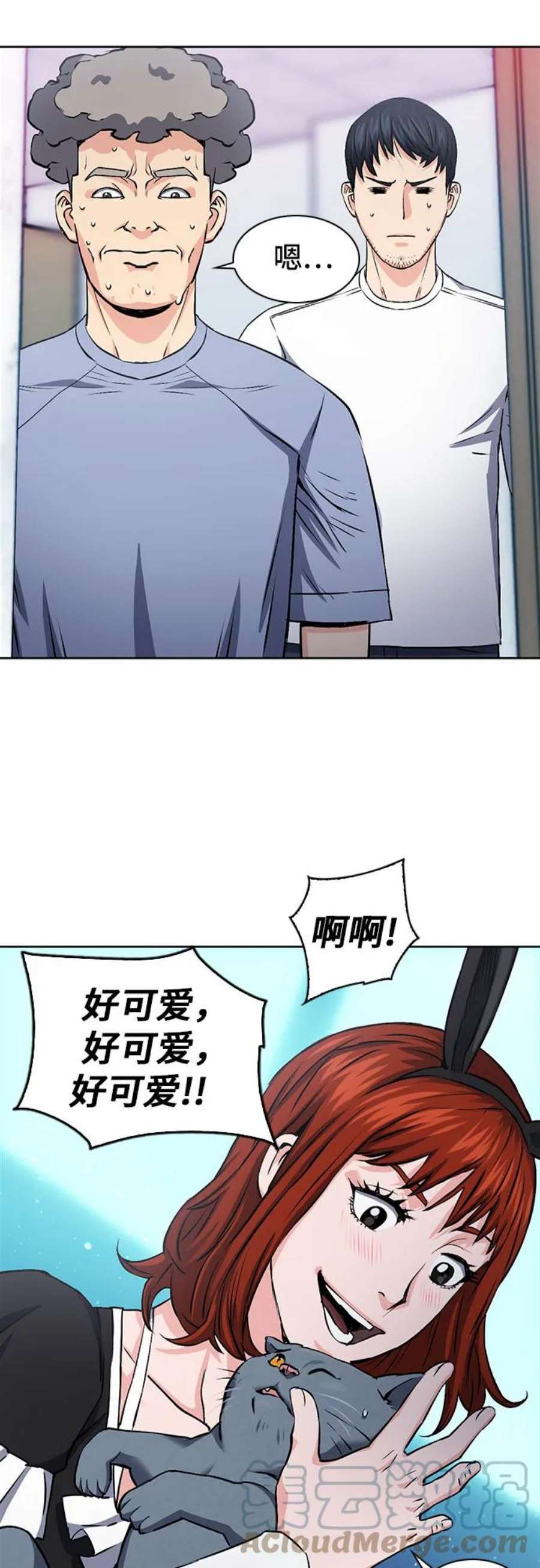 19.jpg