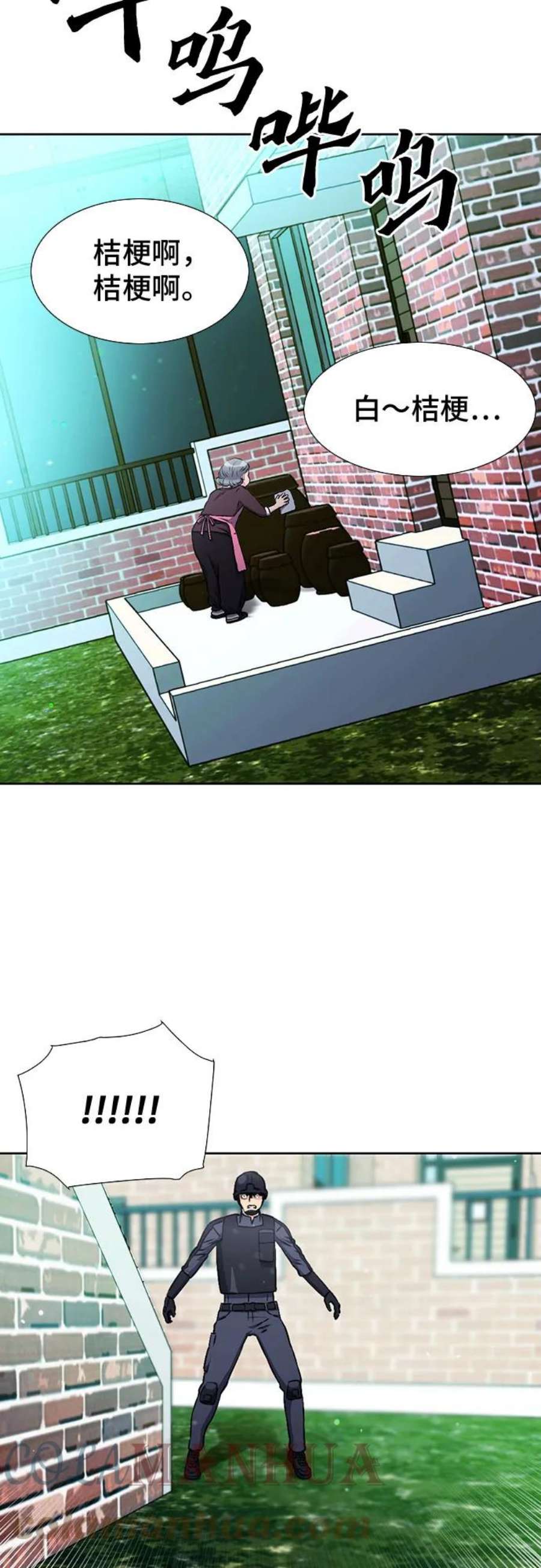 31.jpg