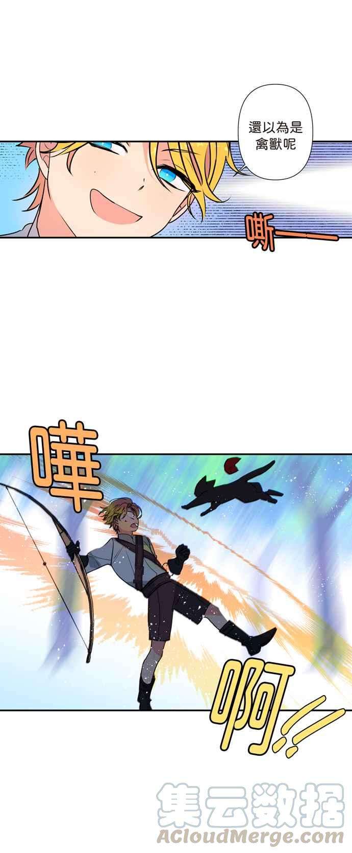 41.jpg