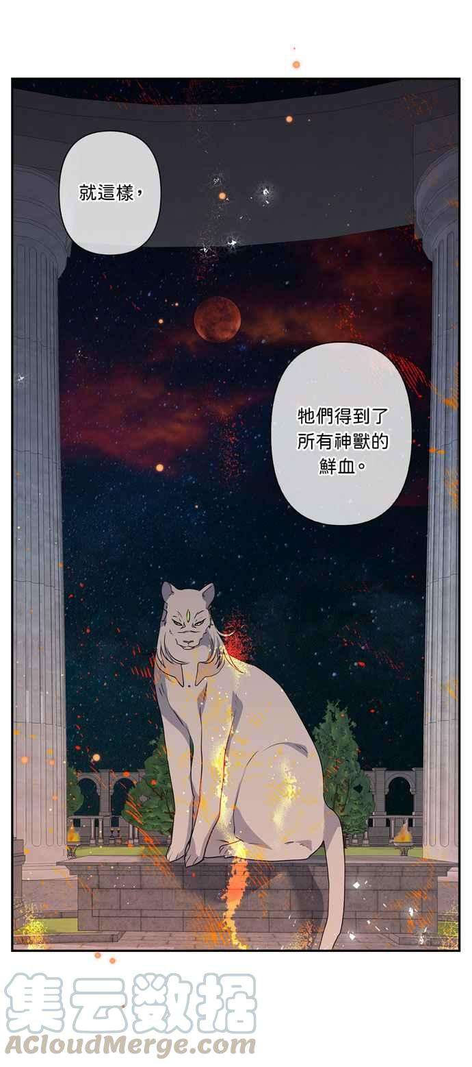 37.jpg