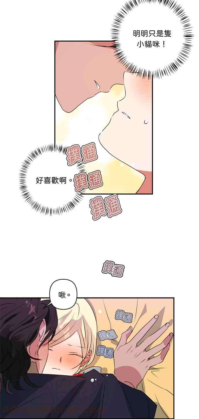 25.jpg