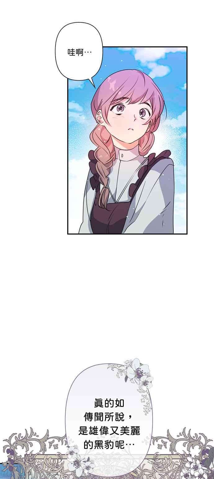 28.jpg