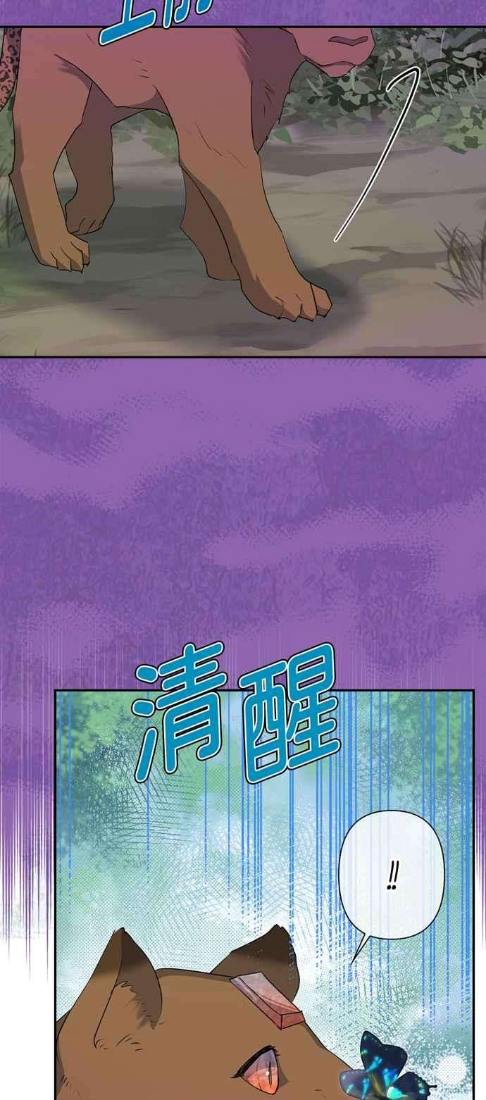 38.jpg