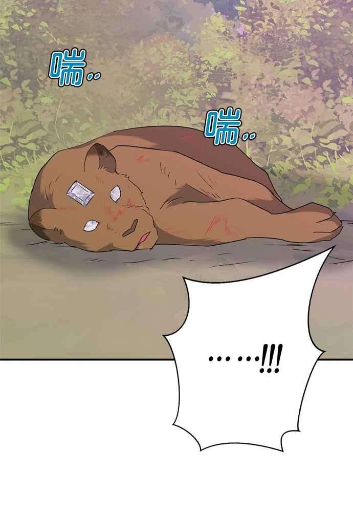 82.jpg