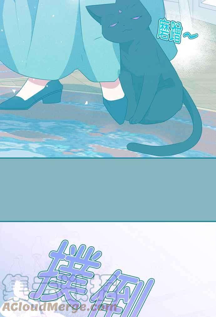 53.jpg