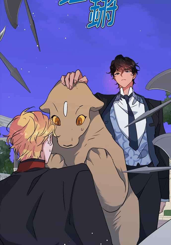 21.jpg