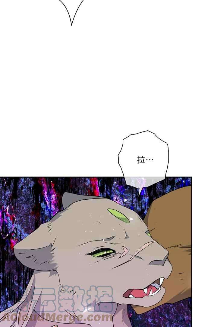 73.jpg