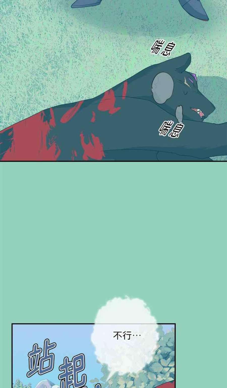 80.jpg