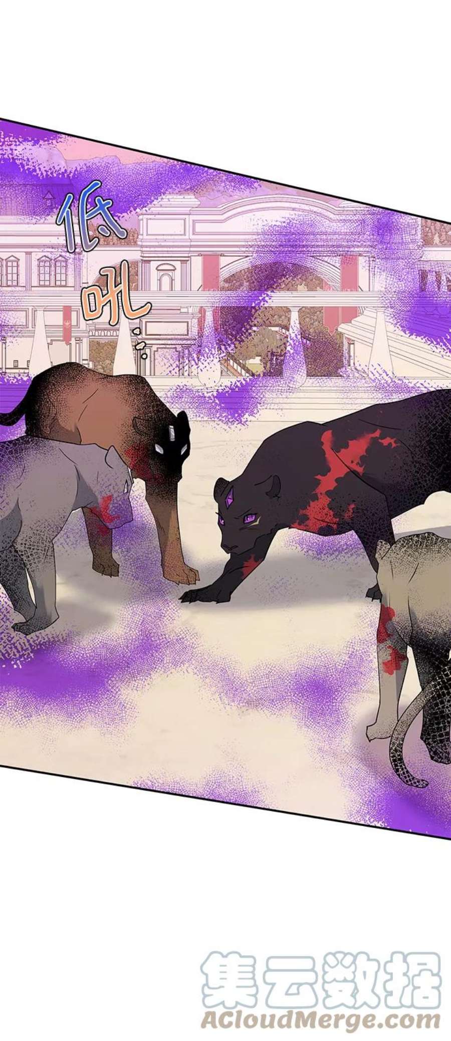 34.jpg