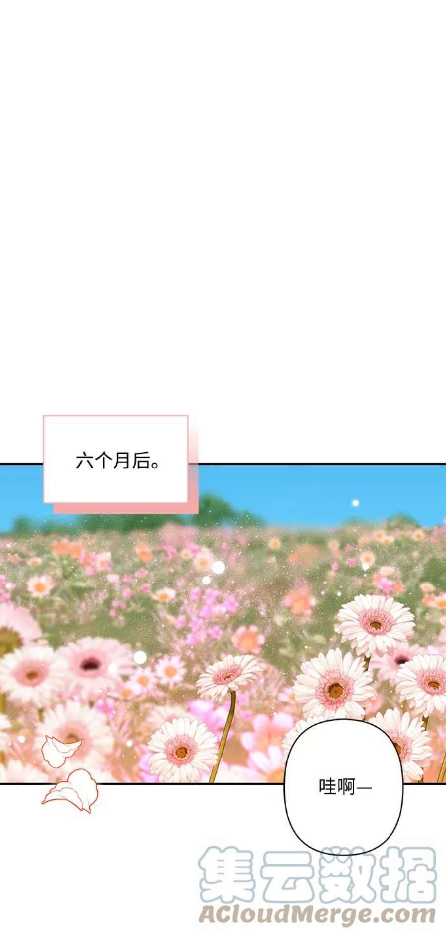 64.jpg