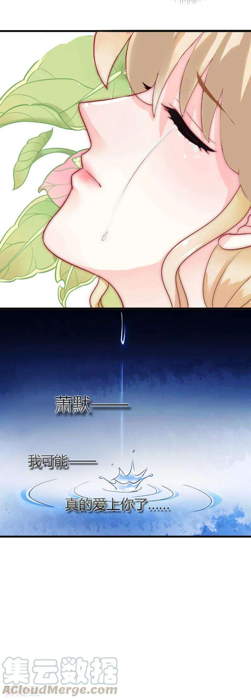 25.jpg