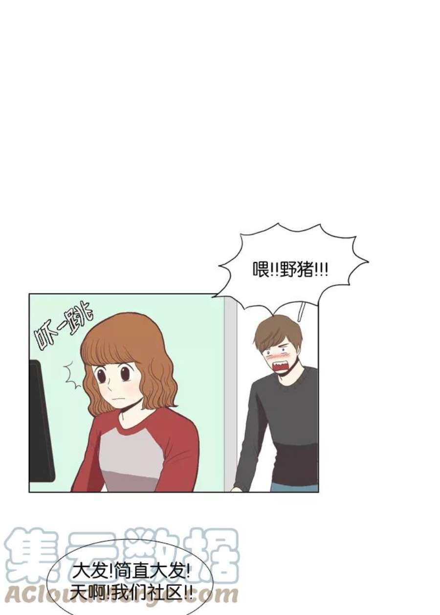 41.jpg