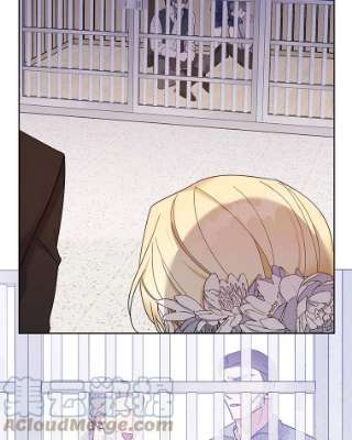 97.jpg