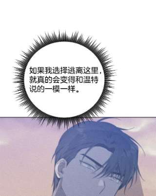 80.jpg